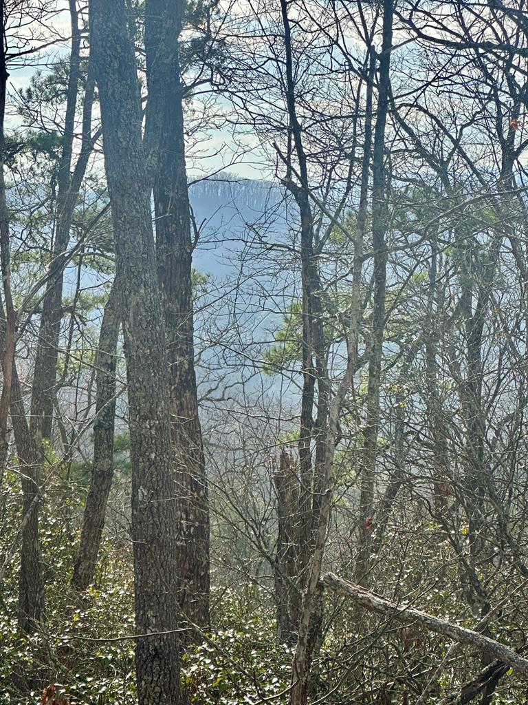 429018 Blue Ridge
 