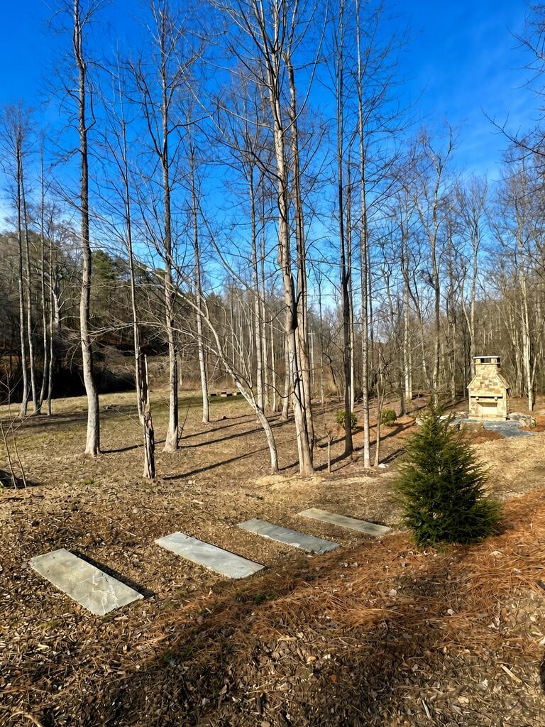 429018 Blue Ridge
 Land