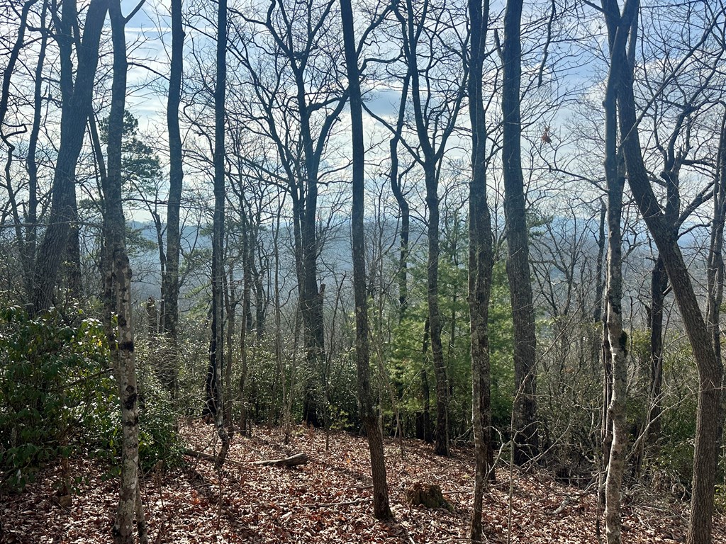 429018 Blue Ridge
 Land