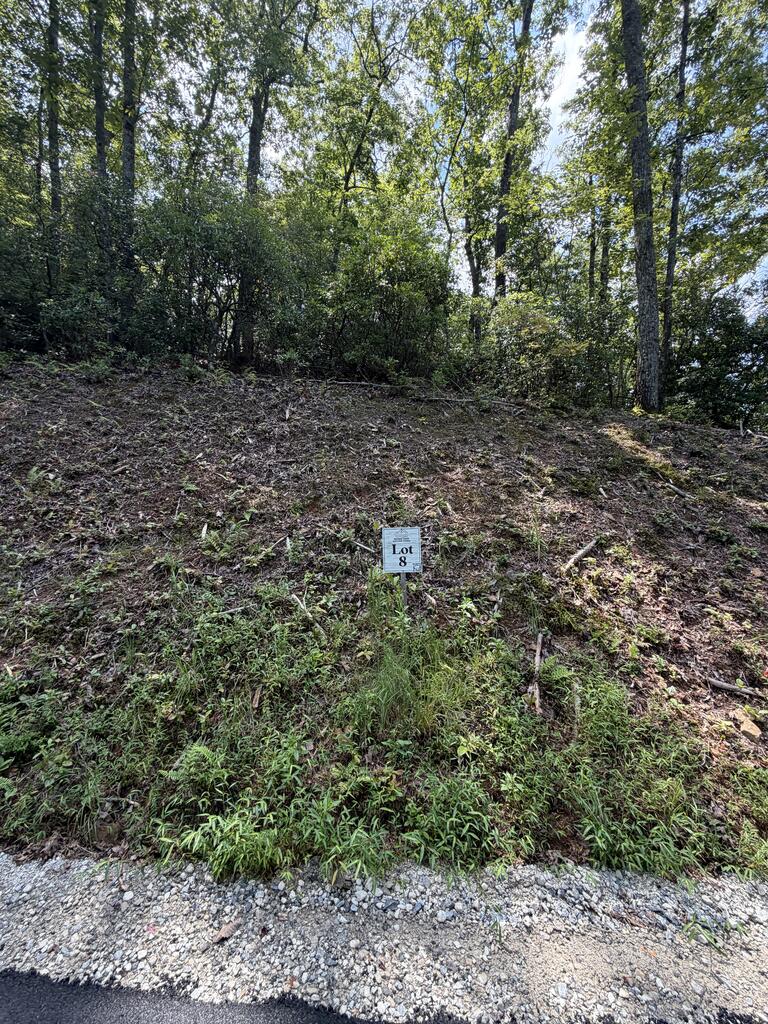 429018 Blue Ridge
 Land