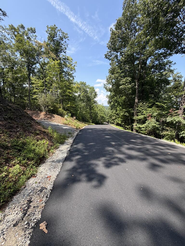 429018 Blue Ridge
 Land