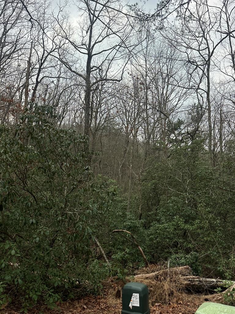 429025  Land