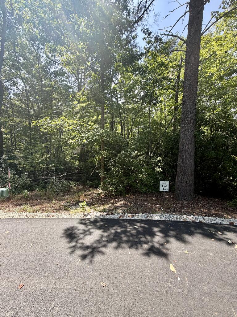 429025 Blue Ridge
 Land