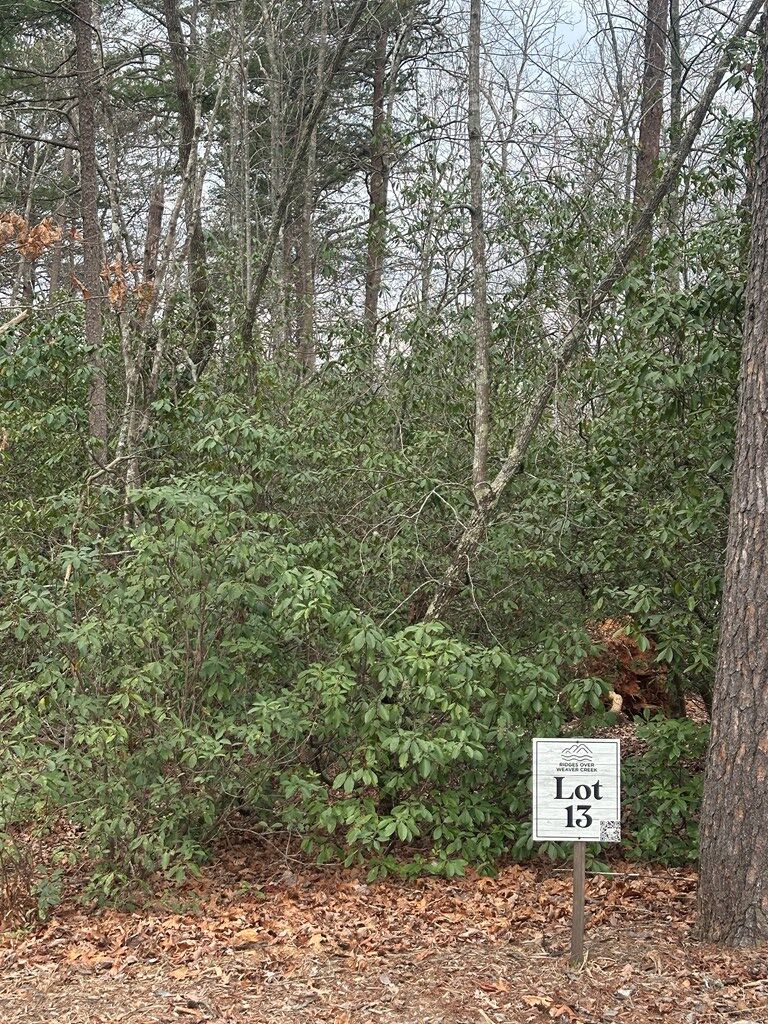 429025 Blue Ridge
 Land