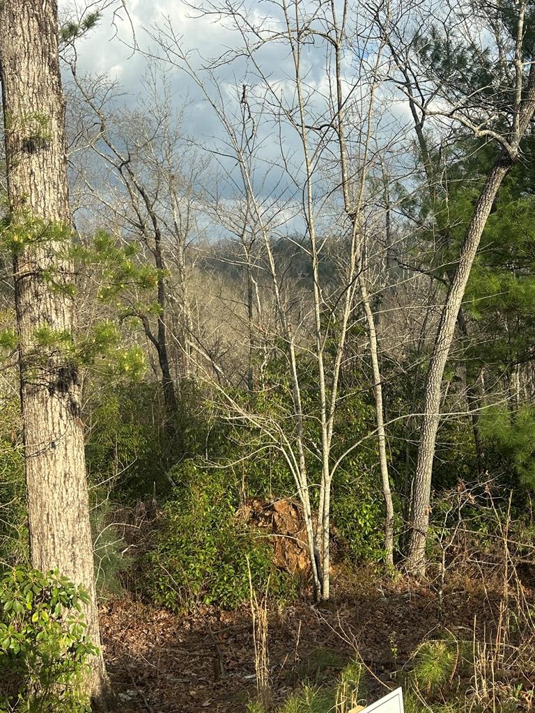 429030  Land