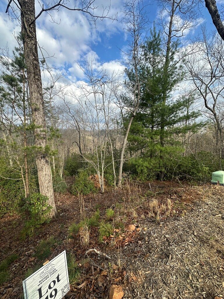 429030 Blue Ridge
 Land