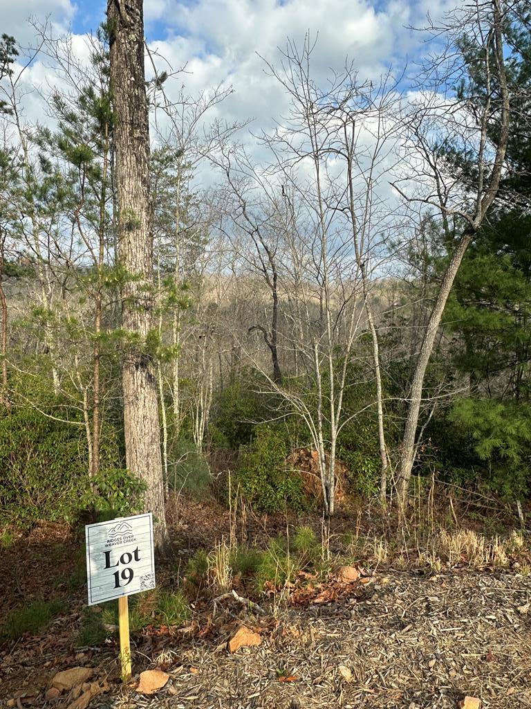429030 Blue Ridge
 Land