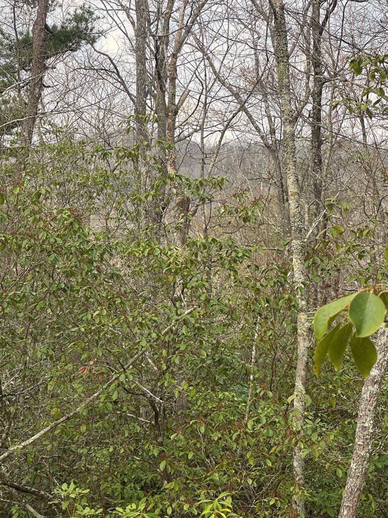 429030 Blue Ridge
 Land