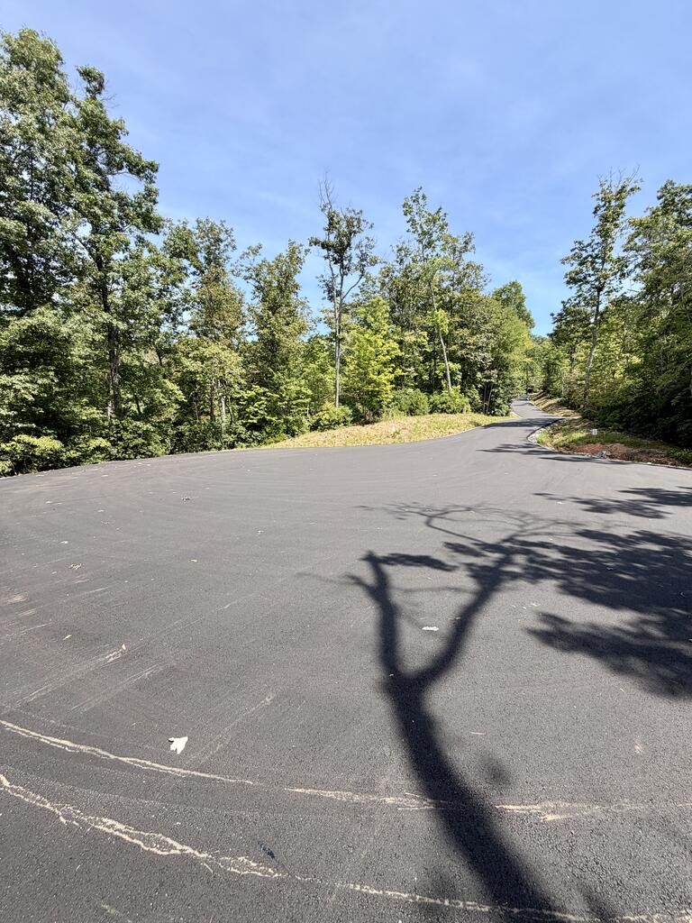 429030 Blue Ridge
 Land