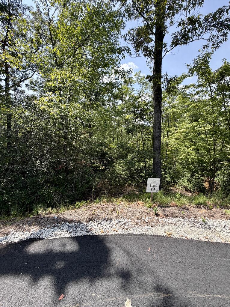 429030 Blue Ridge
 Land