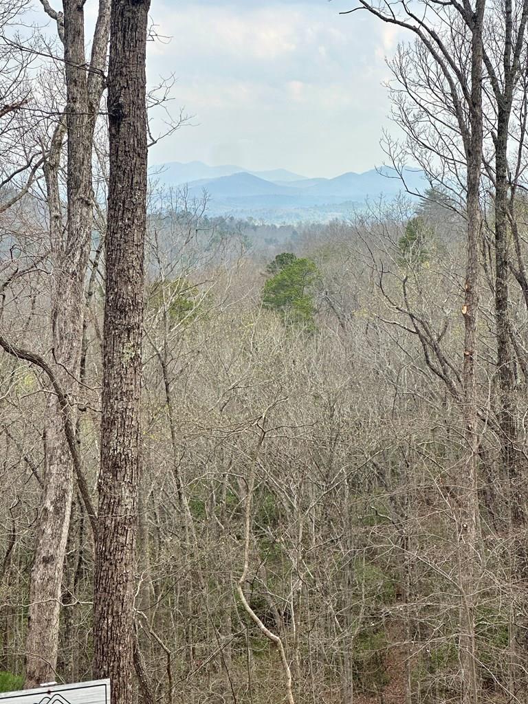 429033 Blue Ridge
 