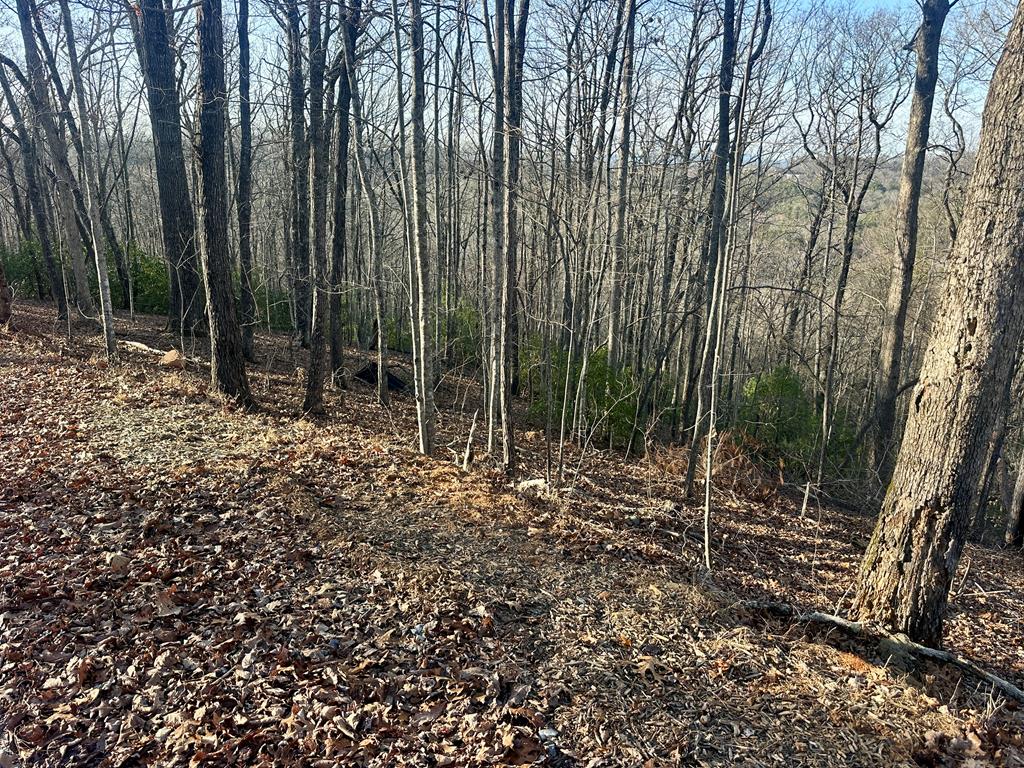 429033 Blue Ridge
 Land
