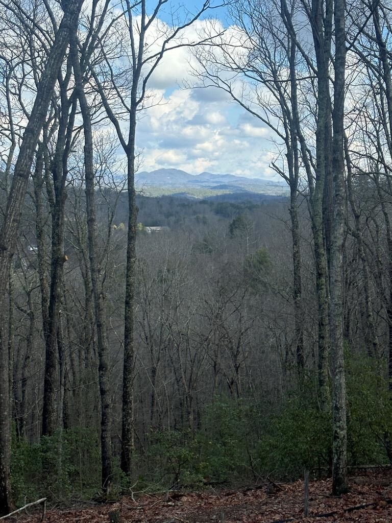 429033 Blue Ridge
 Land