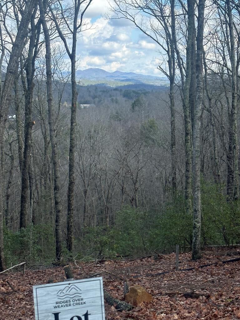 429033 Blue Ridge
 Land