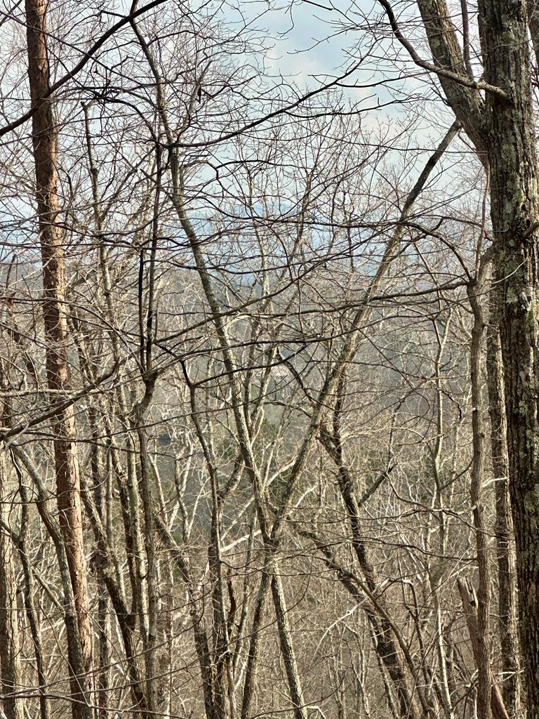 429036 Blue Ridge
 