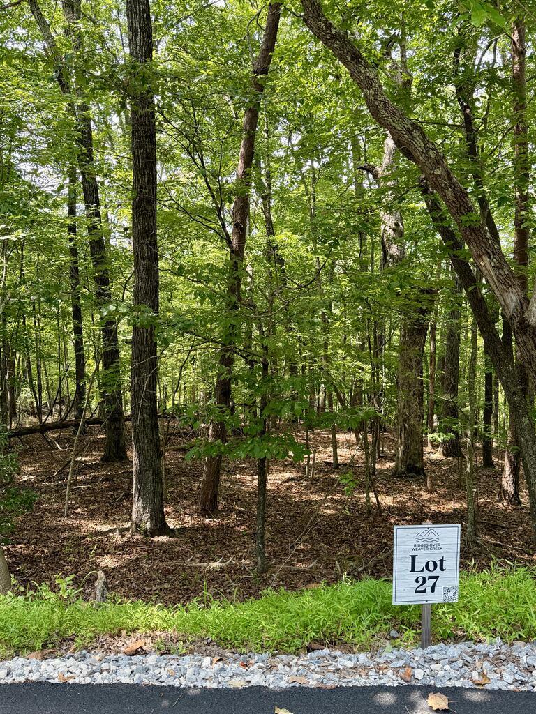 429036 Blue Ridge
 Land