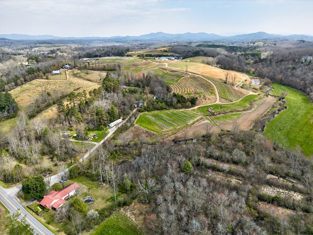 429038 Blue Ridge Residential