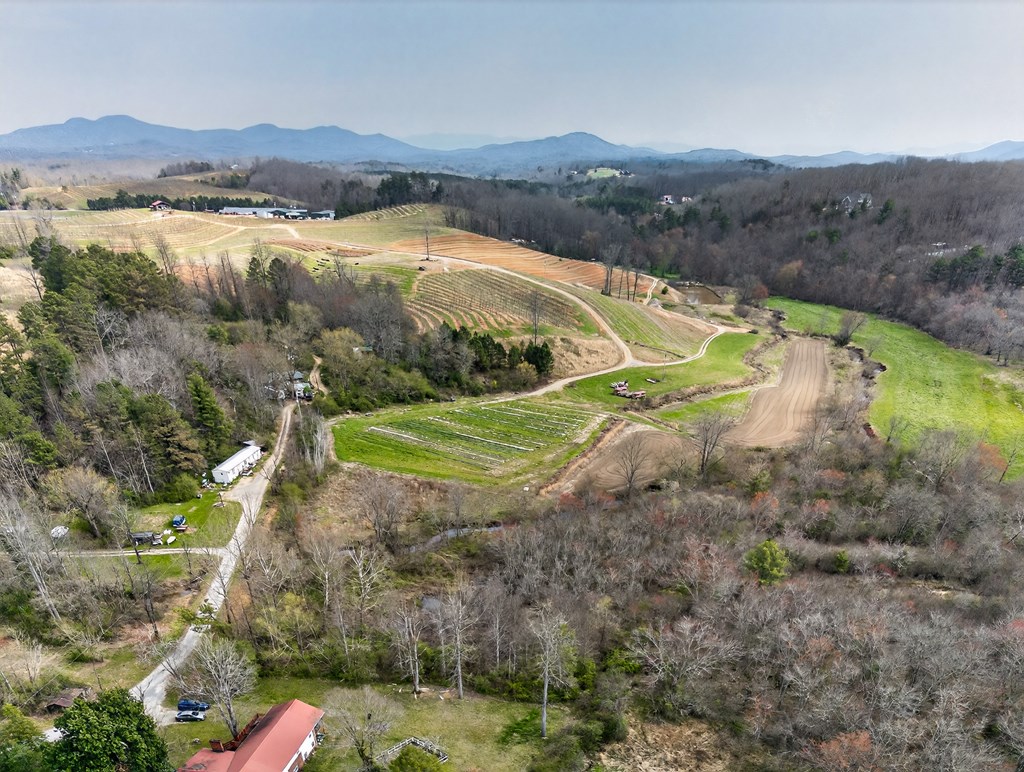 429038 Blue Ridge Residential