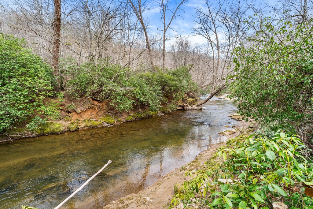 429039 Young Harris Residential