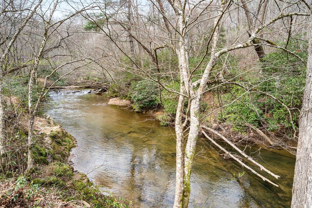 429039 Young Harris Residential