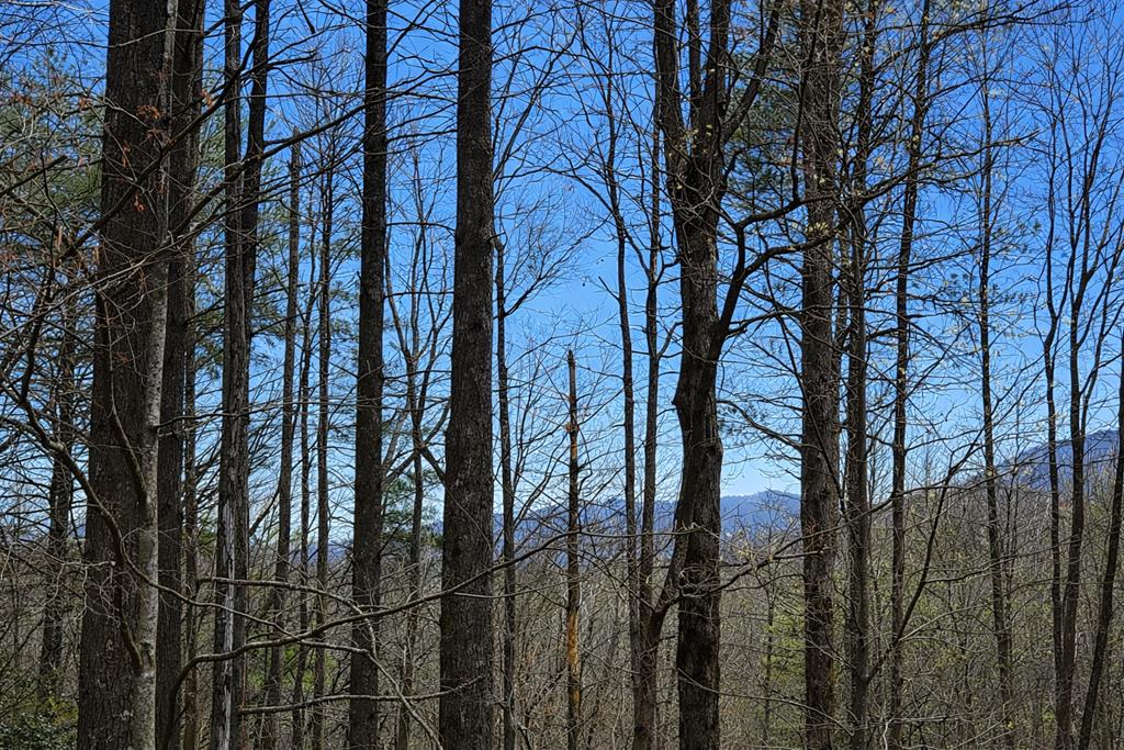 429044 Ellijay Residential