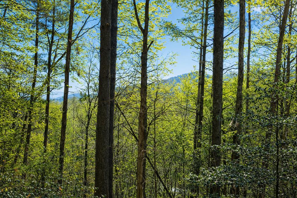 429044 Ellijay Residential