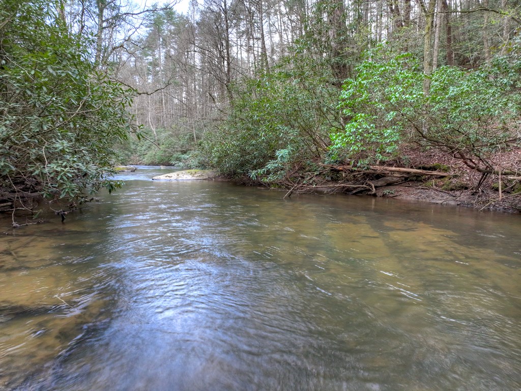 429047 Cherry Log Residential