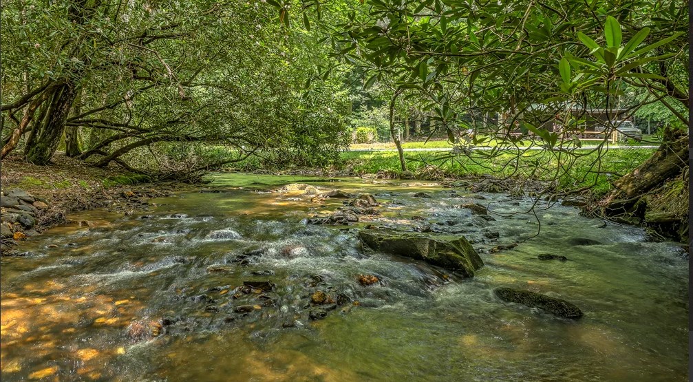 429060 Blue Ridge Residential