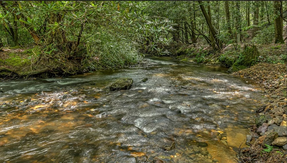 429060 Blue Ridge Residential