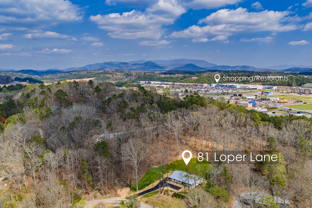 429061 Ellijay Residential