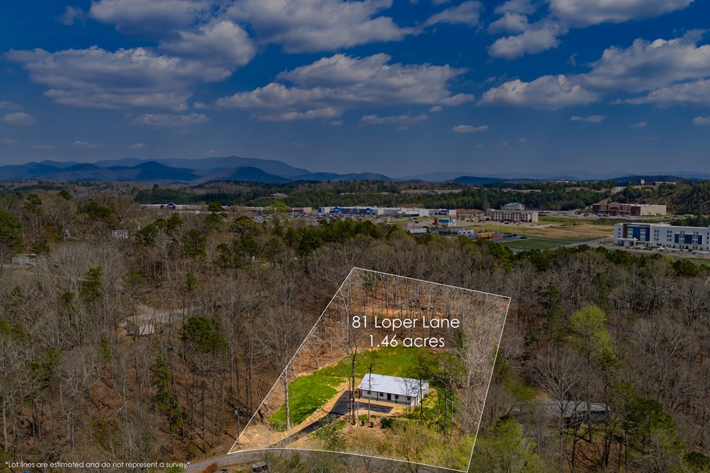 429061 Ellijay Residential