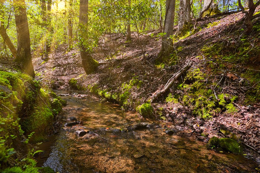 429062 Ellijay Residential