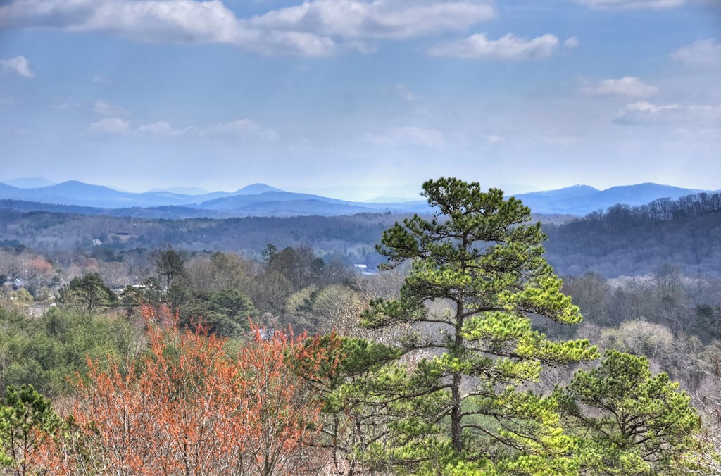 429063 Blue Ridge Residential