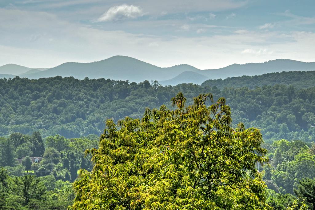 429063 Blue Ridge Residential