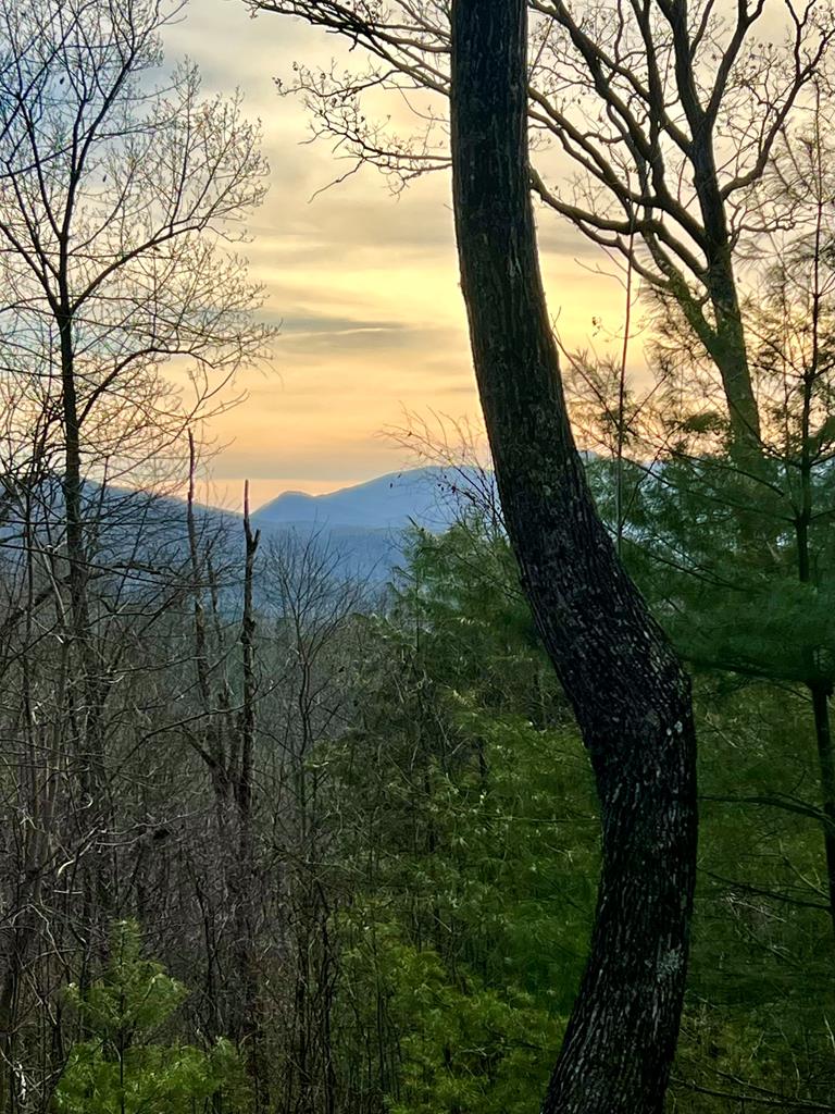 429069 Hiawassee Residential