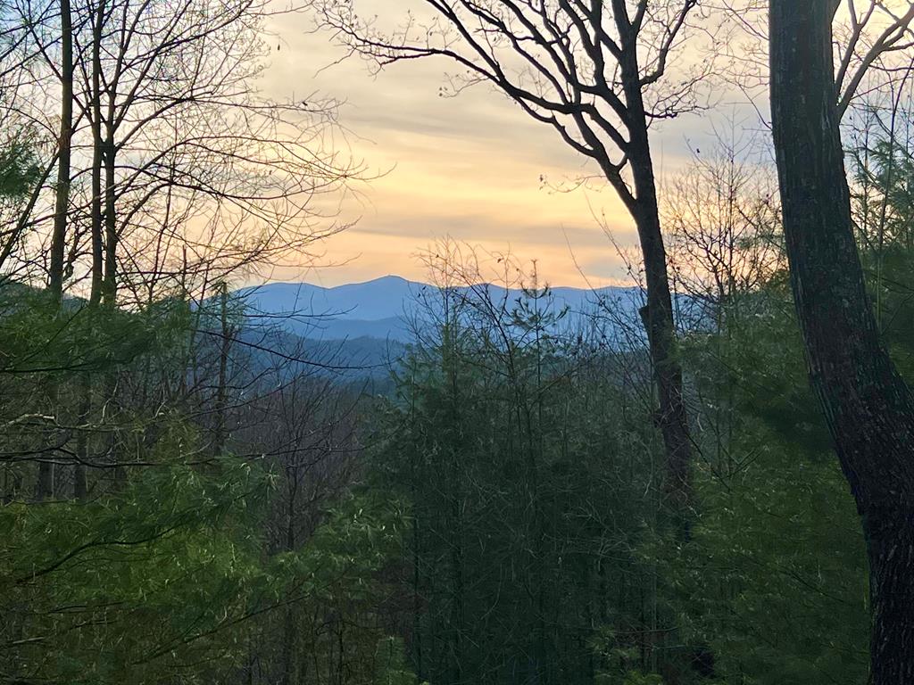 429069 Hiawassee Residential