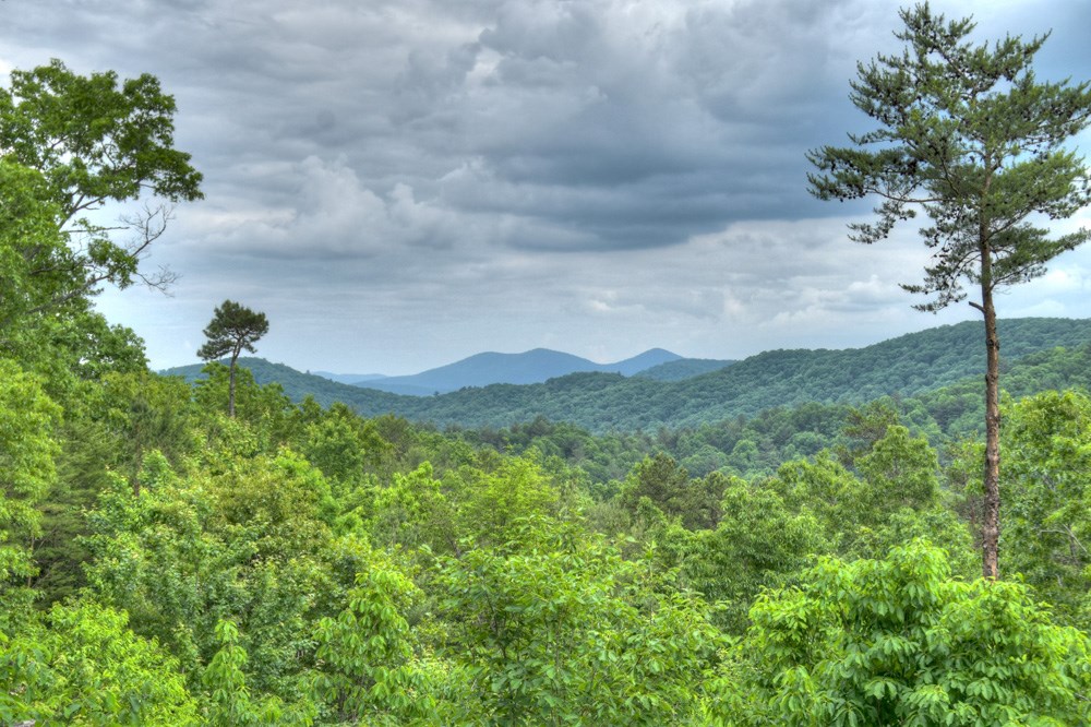 429079 Blue Ridge Residential