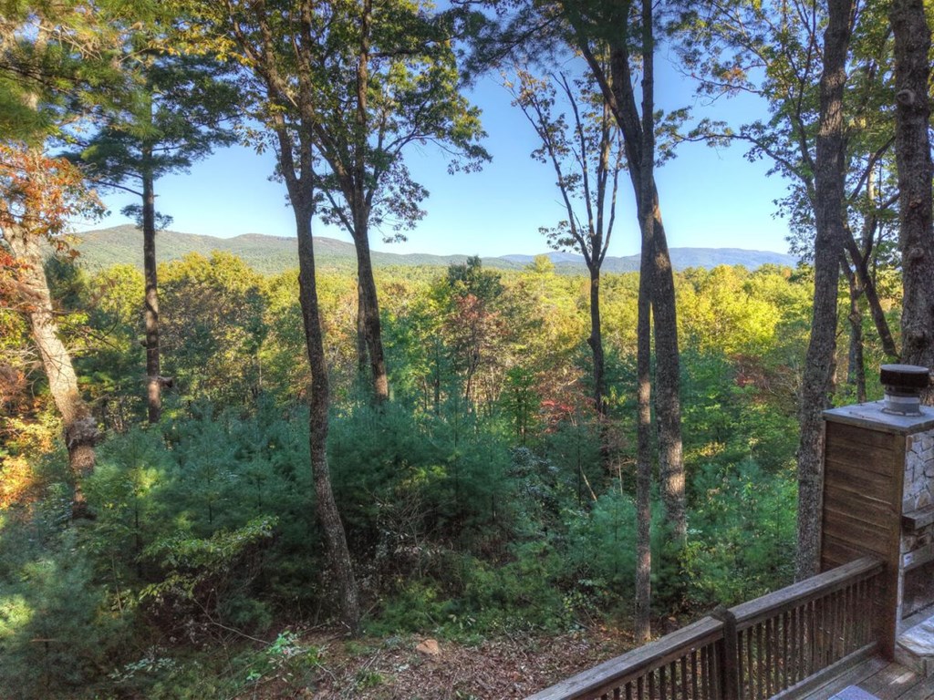 429083 Ellijay Residential