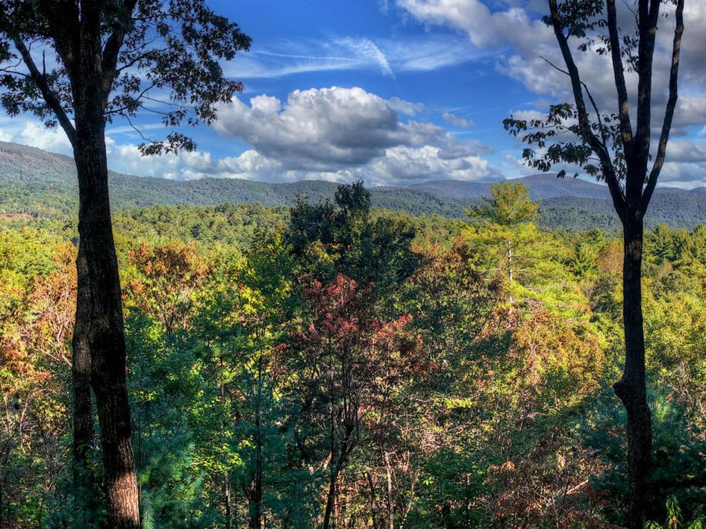 429083 Ellijay Residential