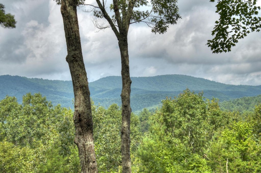 429083 Ellijay Residential