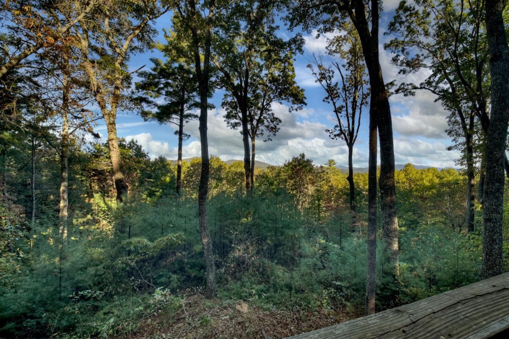 429083 Ellijay Residential