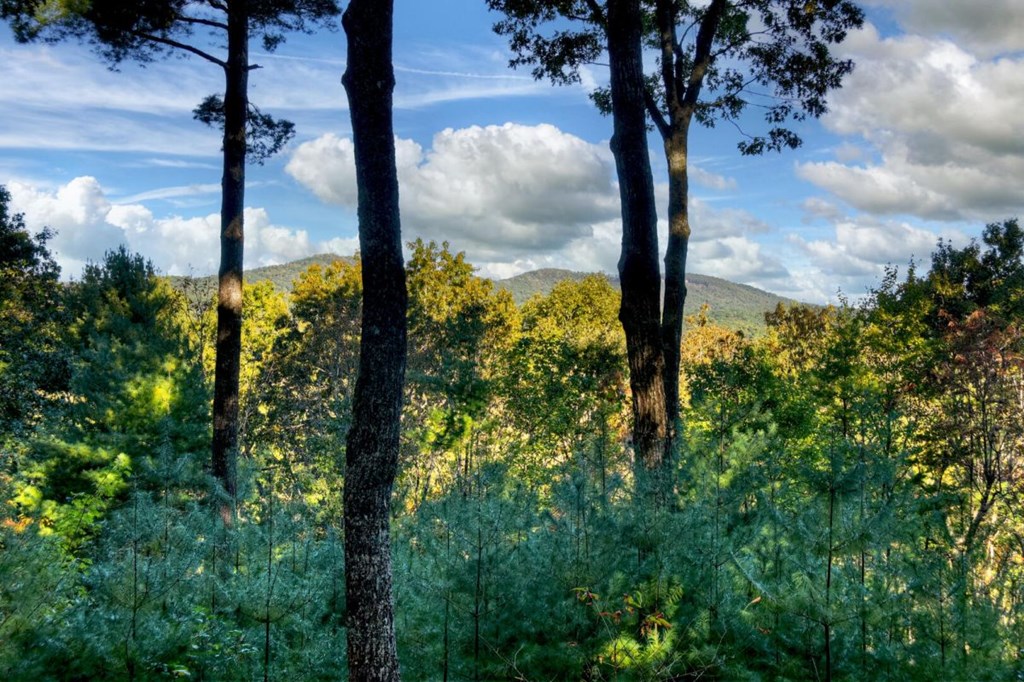 429083 Ellijay Residential