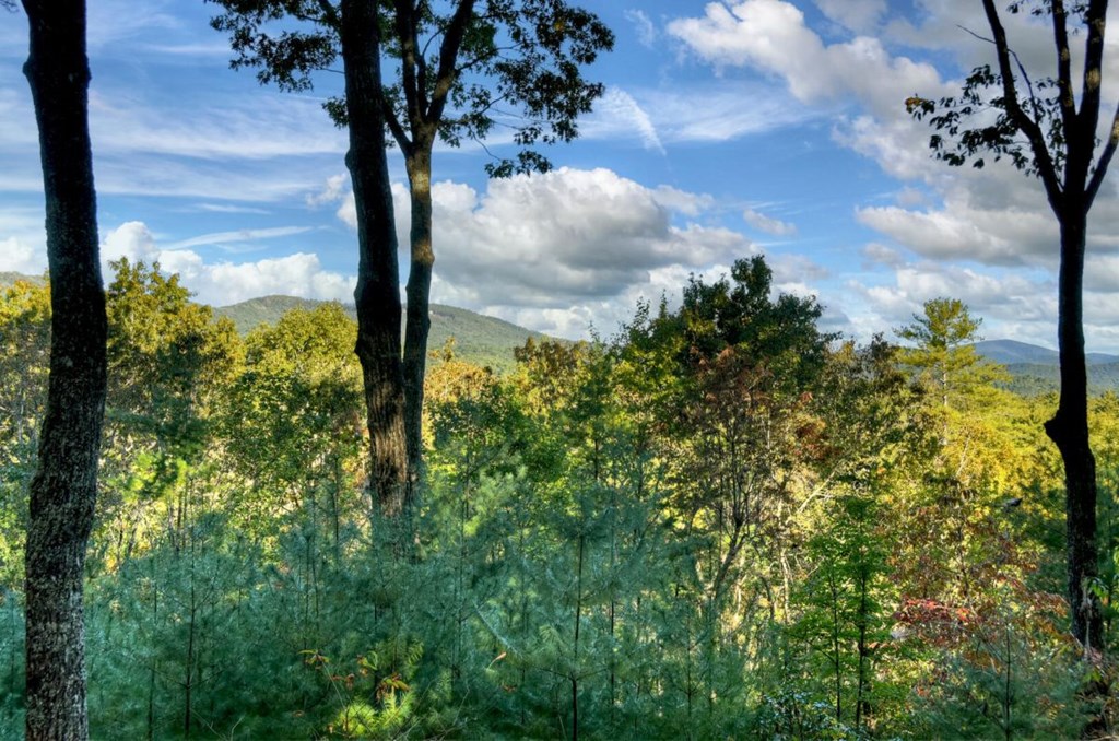 429083 Ellijay Residential