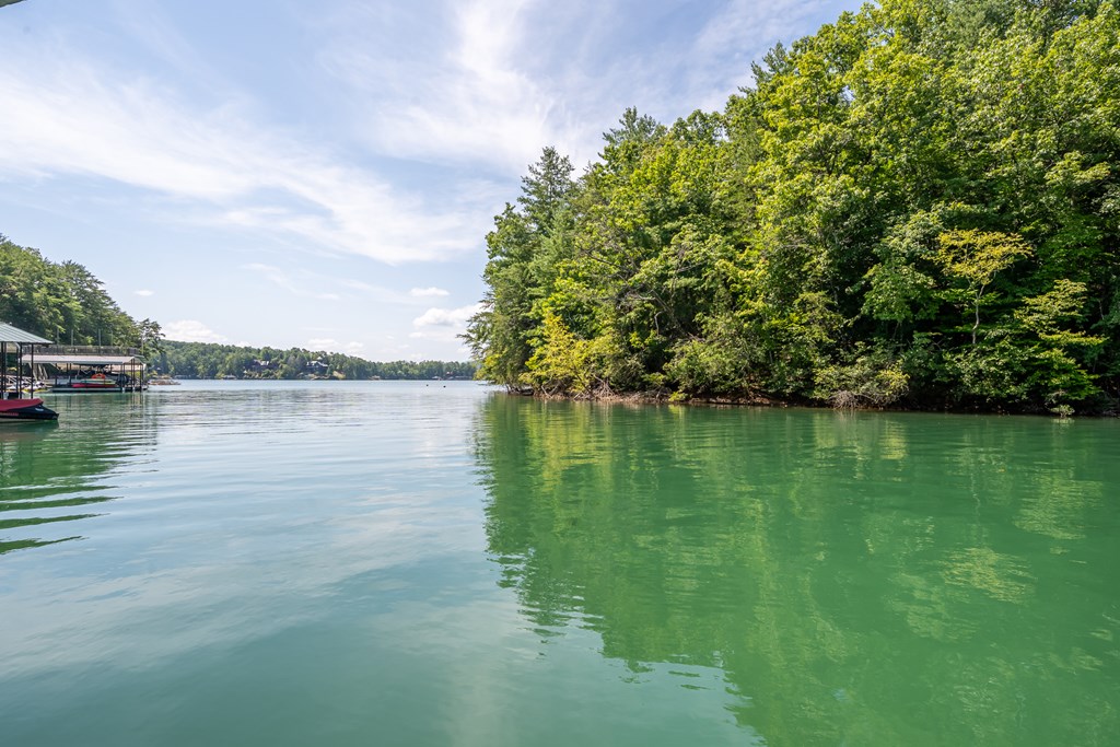 429089 Blue Ridge Residential