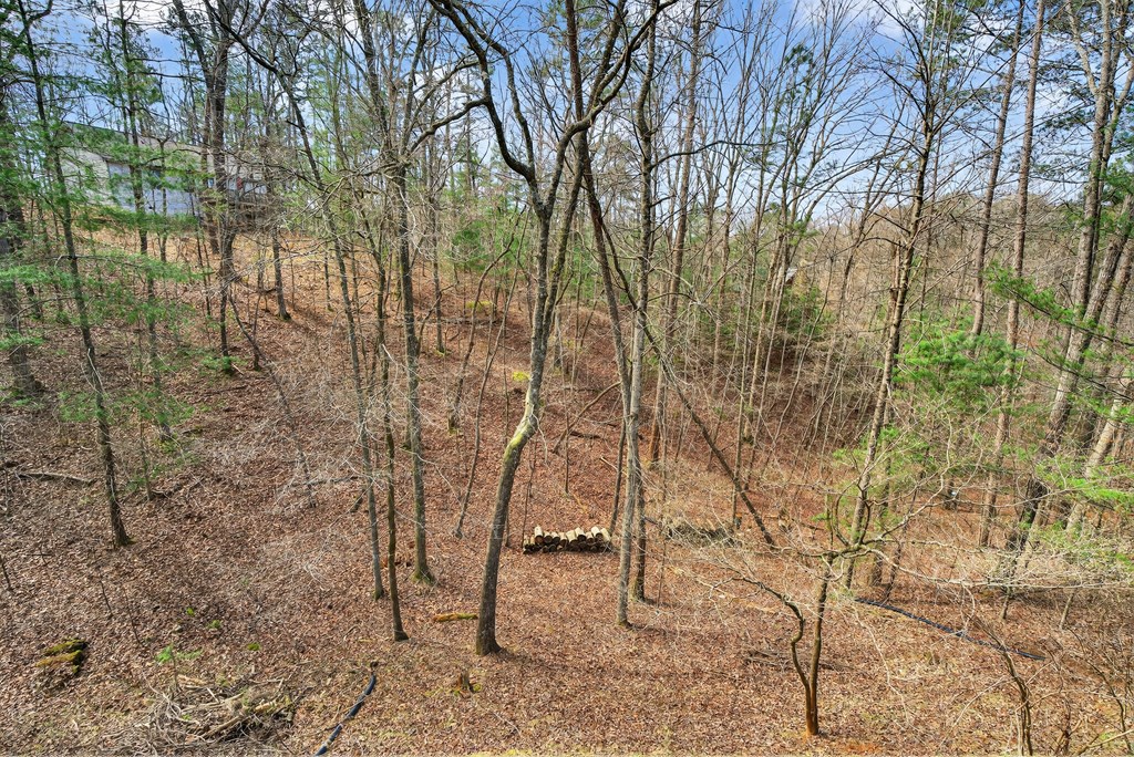 429098 Ellijay Residential