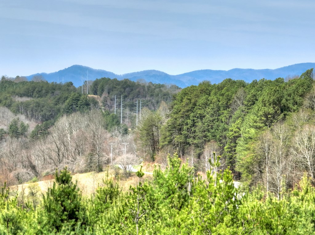 429100 Mineral Bluff Residential