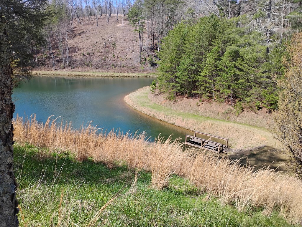 429110 Ellijay Residential