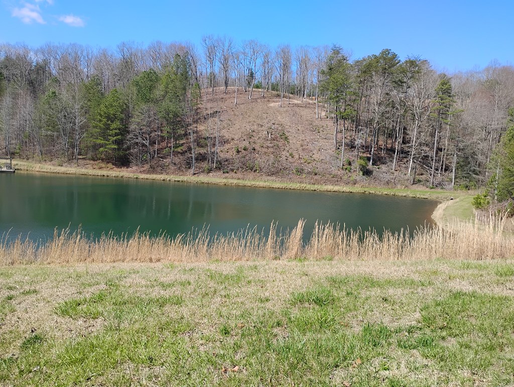 429110 Ellijay Residential