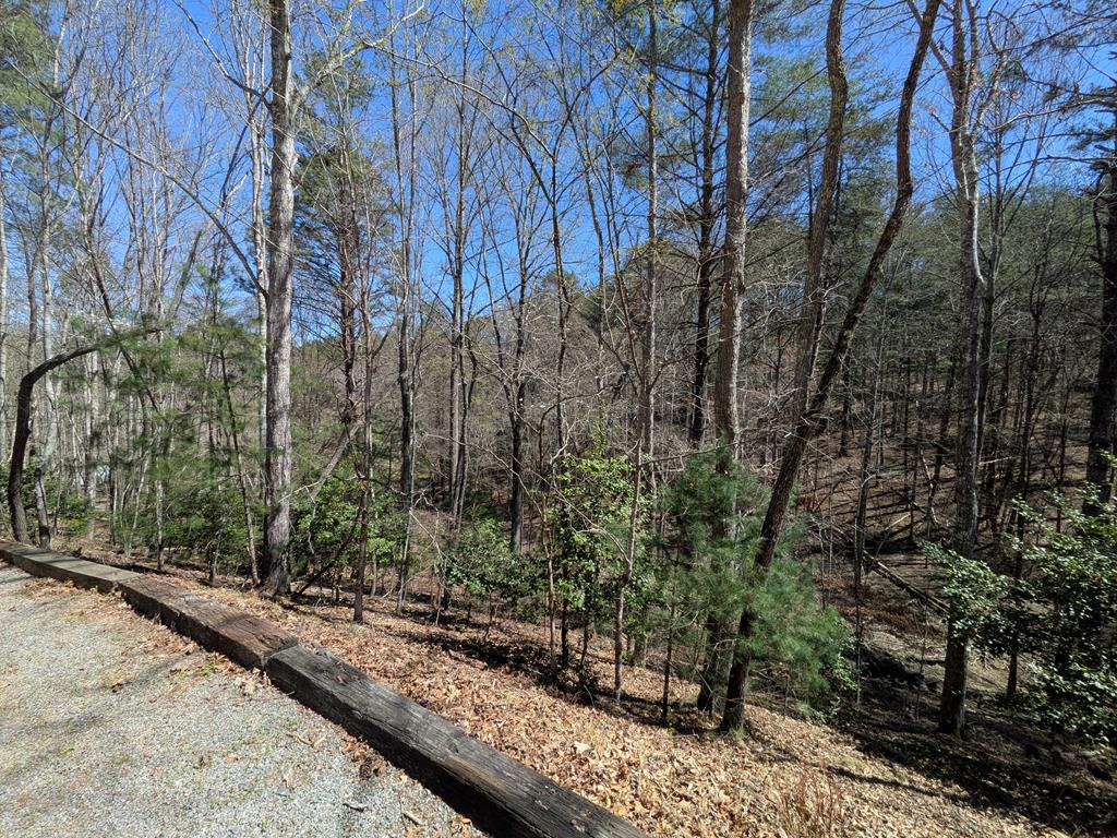 429116 Murphy Residential