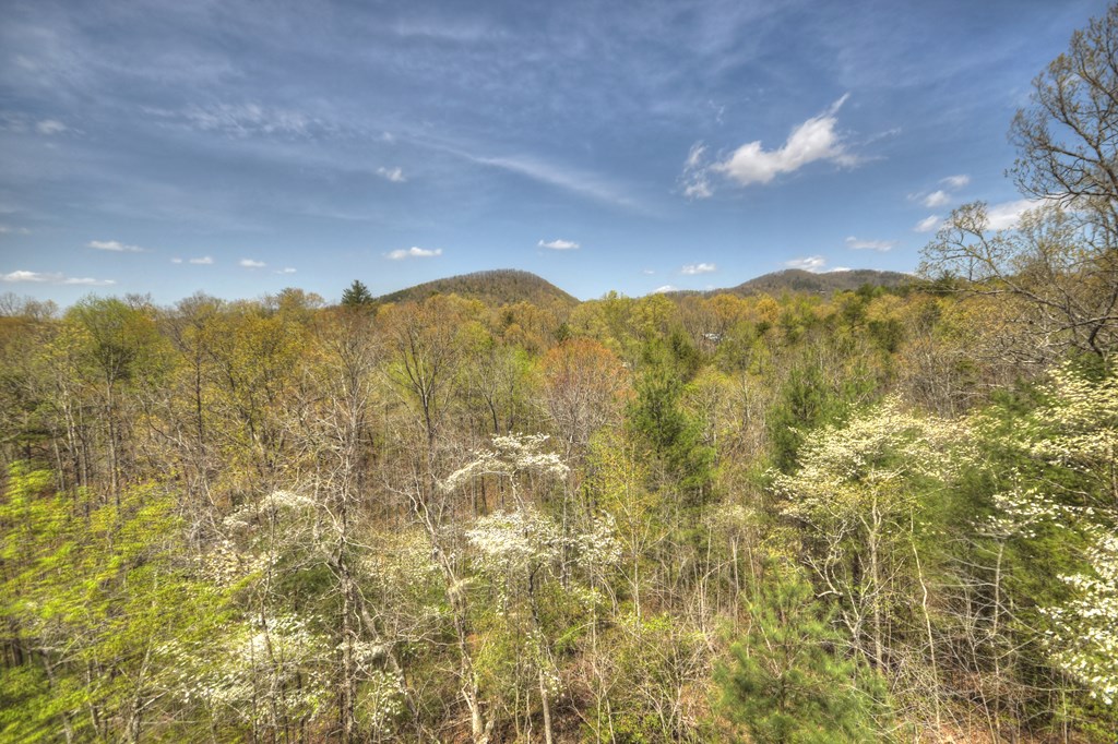 429120 Mineral Bluff Residential